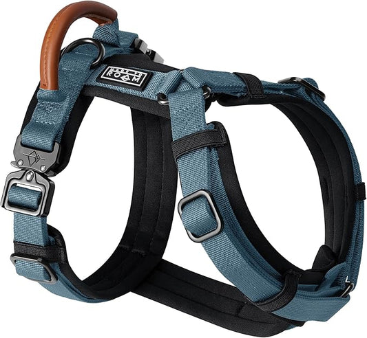 MADE TO ROAM Premium Explorer Harness - Y-Shaped Dog Harness with Adjustable Durable Nylon, Soft Padding, Metal Buckles and Leather Handle for Small, Medium, Large Dogs (California Horizon, Size 5)
