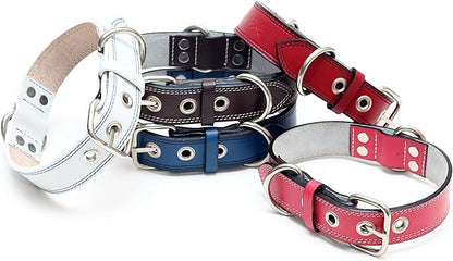 Premium Leather Collars with Stainless Steel Buckles (21"-24", Pink)