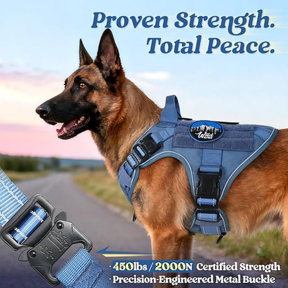 rabbitgoo Tactical Dog Harness for Large Dogs, No Pull Upgraded Reflective Heavy Duty Molle Vest with Handle, Adjustable Military Service Dog Vest for Walking Hiking Training, Blue, L