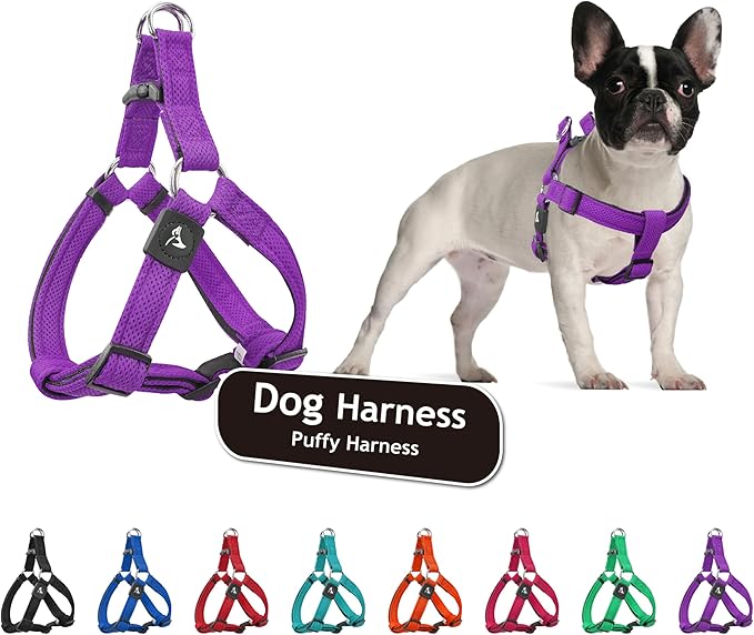 Kruz No Pull Dog Harness (Chest 26”-38”, Weight 44-88 lbs) Heavy-Duty Pet Harness for Large Breeds, Ultra-Comfort Fit, Lifetime Durability, Adjustable Dog Harness No Pull Design (Amethyst, Large)