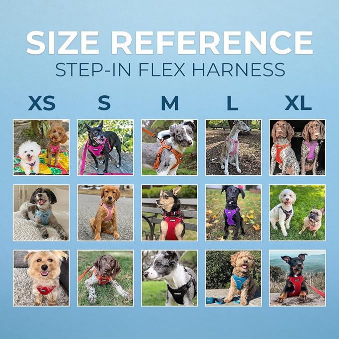 Best Pet Supplies Voyager Adjustable Step-in Flex Breathable Mesh Dog Harness for Small Medium Large Dogs (Black), M