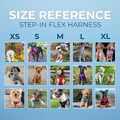 Best Pet Supplies Voyager Adjustable Step-in Flex Breathable Mesh Dog Harness for Small Medium Large Dogs (Black), M