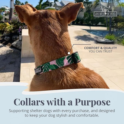 Lucky Love Dog - Adjustable Dog Collar with Easy Click Buckle for Large Ones, Durable, & Comfortable for Male & Female Dogs, Pet Collar for Puppies & Adult Dogs - Laguna, Large