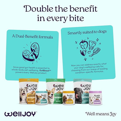 New! WellJoy Dog Treat Joint+ GutBoost | Glucosamine | Healthy Joints & Cartilage | Dual-Benefit GutBoost Formulation | Vet Formulated | Made in USA | Made with Real Shredded Chicken | 30 Soft Chews
