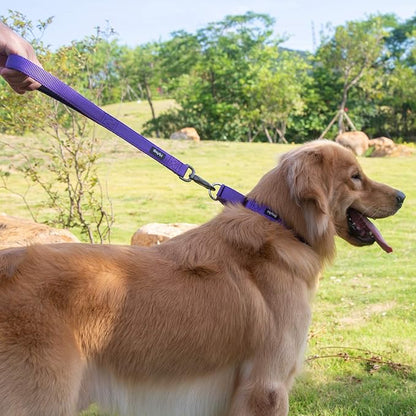 Hyhug Pets Premium Upgraded Traffic Nylon 18 Inch Short Leash with Soft Padded Neoprene Lined Handle for Medium Large Small Dogs, Daily Use Walking and Professional Training. (18 Inches, Ultra Violet)