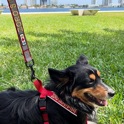 Pawtitas Personalized Camo Green Dog Leash 6 ft Custom ID Lead for Dogs & Puppies Reflective Comfortable Padded Handle Embroidered Name & Phone Number