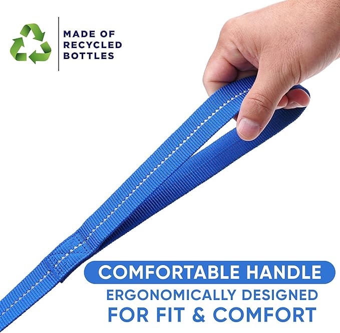 Pawtitas Blue Dog Leash 6 ft M/L Reflective Durable Lightweight Recycled Lead for Medium or Large Dogs and Puppies