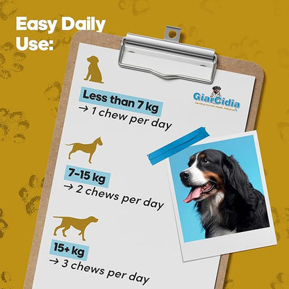 Allergy Relief & Immune Support Chews for Dogs – 90 Soft Chews, Chicken Flavor – Seasonal Itch, Skin, Paw Licking, Hot Spots – Dog Allergy Supplement
