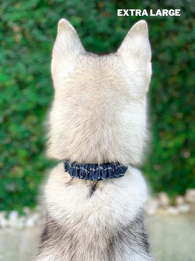 Tuff Pupper Heavy Duty Dog Collar with Handle | Ballistic Nylon Heavy Duty Collar | Padded Reflective Dog Collar with Adjustable Stainless Steel Hardware | Convenient Sizing for All Breeds