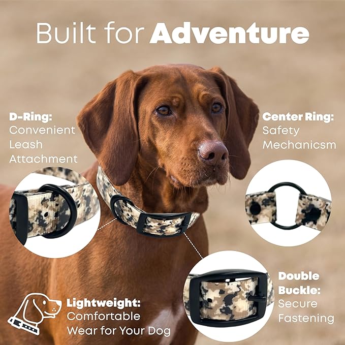 Regal Dog Products Waterproof Camo Hunting Dog Collar with Black Hardware | for Small, Medium, Large, or XL Dogs (Large)