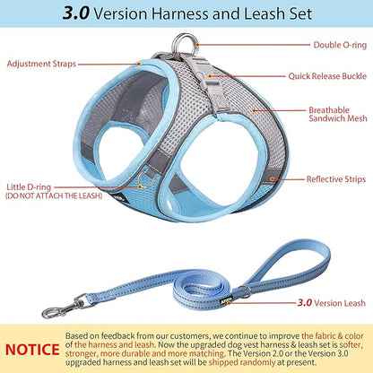 AIITLE Comfortable Dog Harness and Leash Set for Walking - Step in Vest Harness,Reflective Bands, Adjustable No Pull Puppy Essentials, for Small Dogs and House Cats Blue XS