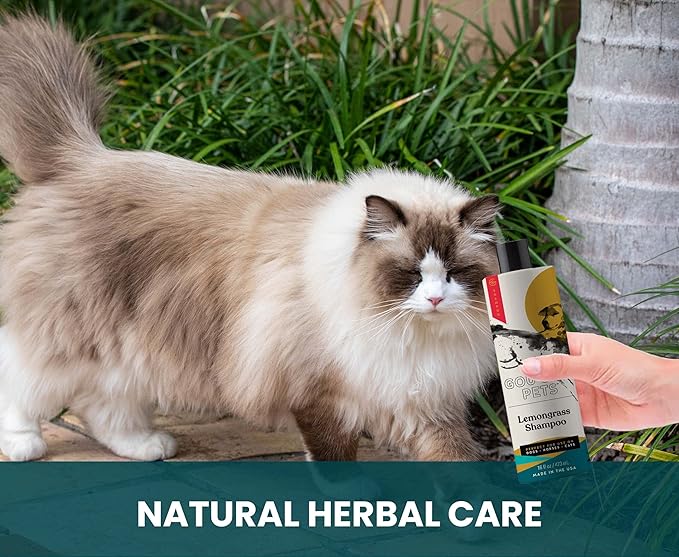 Gou Gou Pets Holistic, Natural and Clean Pet Care Lemongrass Shampoo: Veterinarian Recommended - Hydrate Your Pet’s Coat With Our Hypoallergenic Shampoo For Dogs, Cats and Horses - Made in USA - 16 oz