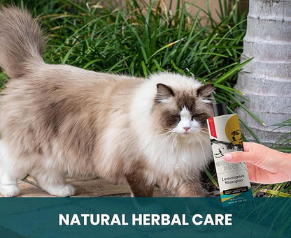Gou Gou Pets Holistic, Natural and Clean Pet Care Lemongrass Shampoo: Veterinarian Recommended - Hydrate Your Pet’s Coat With Our Hypoallergenic Shampoo For Dogs, Cats and Horses - Made in USA - 16 oz
