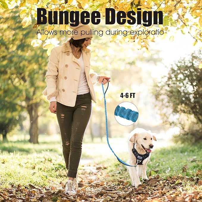 BUMBIN 6Ft Dog Leash Large Dogs, Bungee Dog Leash with 2 Handles, Heavy Duty Leashes for Medium Small Dogs, No Pull Shock Absorbing，with Car Seat Belt for Training, Blue