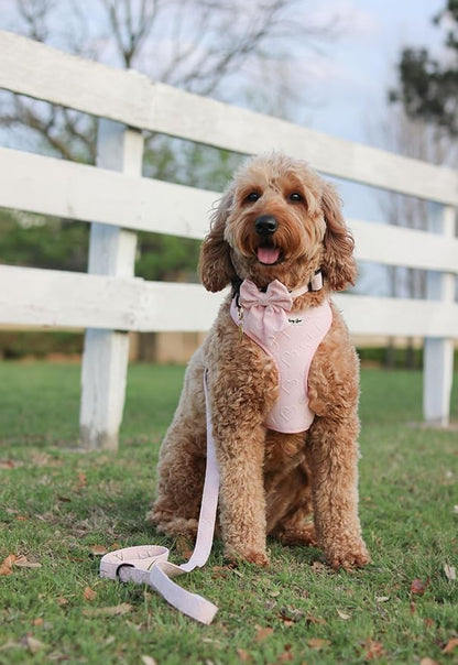 Large Dog Harness Set – Cute No Pull, All Weather, Breathable Harness and Leash Set with Collar, Bandana, Sailor Bow & Poop Bag Holder – Adjustable, Soft & Stylish – Pink Hearts on Jacquard Fabric