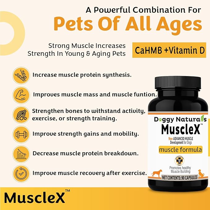 MuscleX™ Canine Muscle Formula Dogs with CaHMB 500 mg and Vitamin D3 - Natural Muscl Building Formula - Helps Reduce Muscle Loss Due to Normal Aging and Improves Recovery from Injury (90 Capsules)