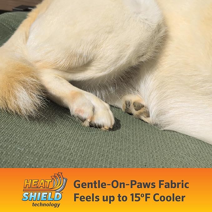 Coolaroo Pro Elevated Dog Bed with HeatShield Fabric – Advanced Cooling Raised Cot for Small & Medium Breeds, Easy-Clean, Low-to-Ground Access, Bonus Bolster Pillow – Everglade Green