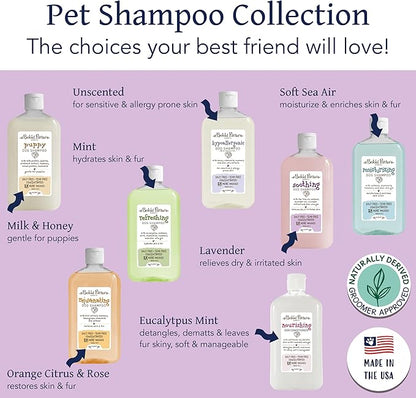 Bobbi Panter Soothing Dog Shampoo, Heals & Soothes Irritated Skin, Lavender Scent - 30:1 Concentrated Formula, Made in The USA, Trusted by Professional Groomers, 14 oz.