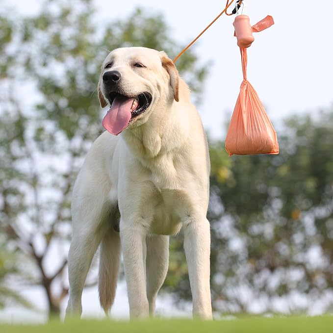 Dog Poop Bags with Handles 30 Rolls 360 Counts Big Sizes Leak Proof and Extra Thick Waste Bags Refill Rolls for Walking Small Medium Large Dogs Cats Litter Peach Scented