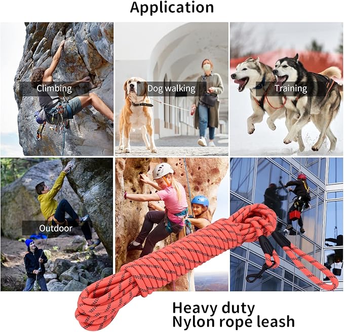 Long Dog Leash for Training 15Ft-Reflective Nylon Rope with Swivel Hook-Recall Agility Lead for Large Small Medium Dogs Outside Walking Hiking-Orange