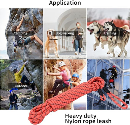 Long Dog Leash for Training 50Ft-Reflective Nylon Rope with Swivel Hook-Recall Agility Lead for Large Small Medium Dogs Outside Walking Hiking-Orange Diam 1/2"