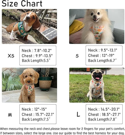 Dog Harness and Leash Set, Adjustable Dog Harness, Dog Leash, No Pull No Choke Puppy Harnesses for Walking Training for Small, Medium Pet (Little Love, XS(Chest 11-13", Neck 9-11"))