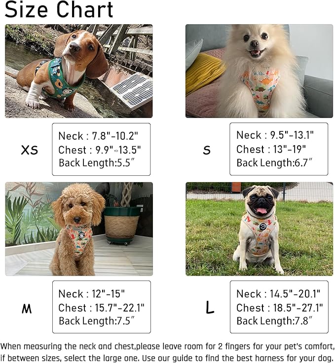 Dog Harness and Leash Set, Adjustable Dog Harness, Dog Leash, No Pull No Choke Puppy Harnesses for Walking Training for Small Medium Pet