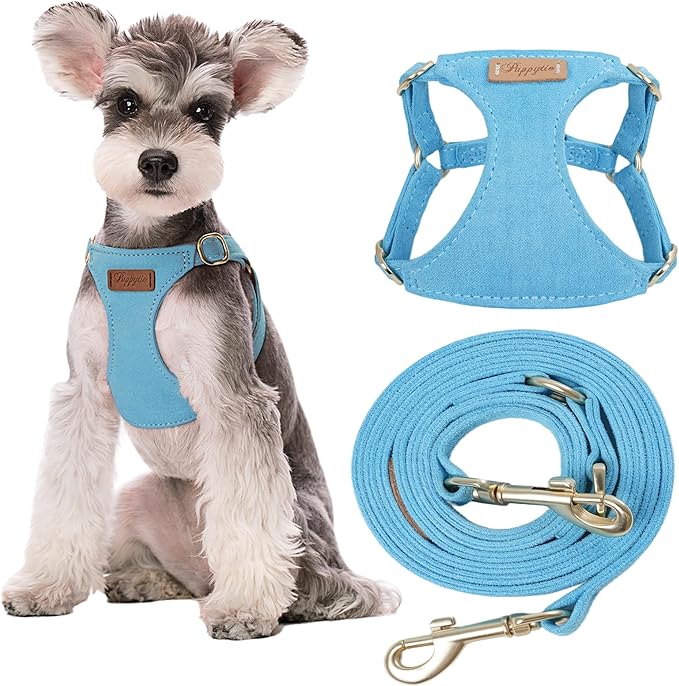 Puppytie No Pull Small Dog Harness with Multifunction Dog Leash,Lightweight Soft Adjustable No Choke Escape Proof Pet Harness Vest Pet Harness Vest,Ocean Blue,S
