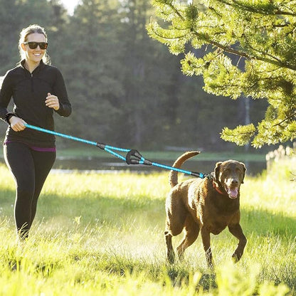 JSXD Heavy Duty Double Handle Dog Leash - 5 FT, Padded & Reflective, Rope for Small to Large Dogs (Blue)