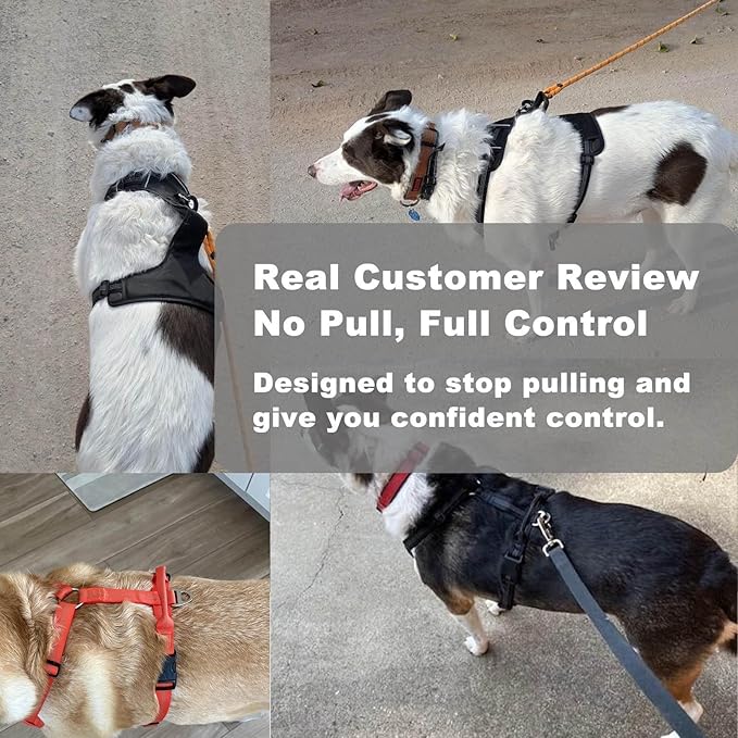 No Pull Dog Harness for Medium Dogs, Adjustable, Reflective Breathable Padded Vest with 2 Metal Leash Clips and Handle for Control or Car Seatbelt Use, Orange, M