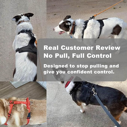 No Pull Dog Harness for Large Dogs, Adjustable, Reflective Breathable Padded Vest with 2 Metal Leash Clips and Handle for Control or Car Seatbelt Use, Black, L