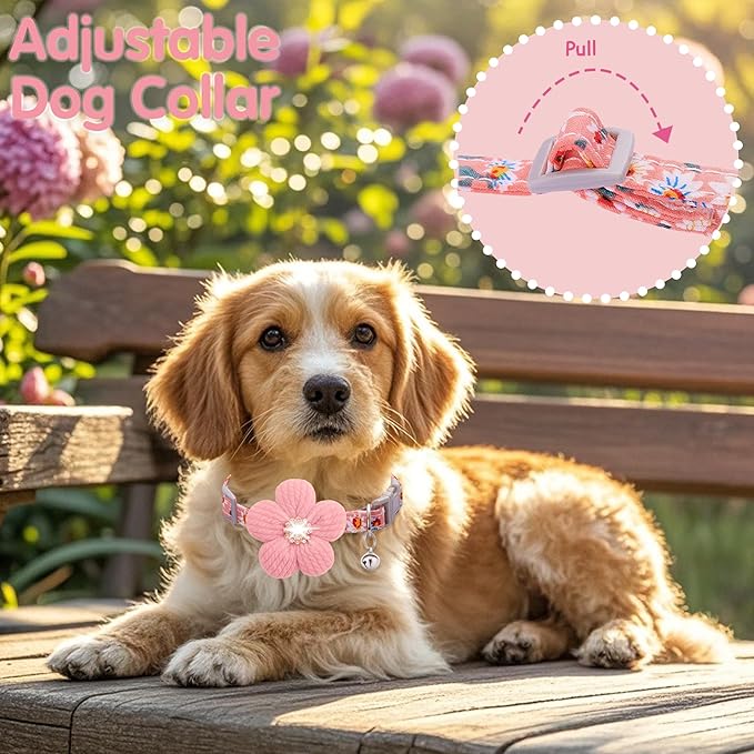 Small Dog Collar with Flower, Puppy Collar for Girl Dog Collars for Small Dogs Cute Dog Collar with Bell, Adjustable Length