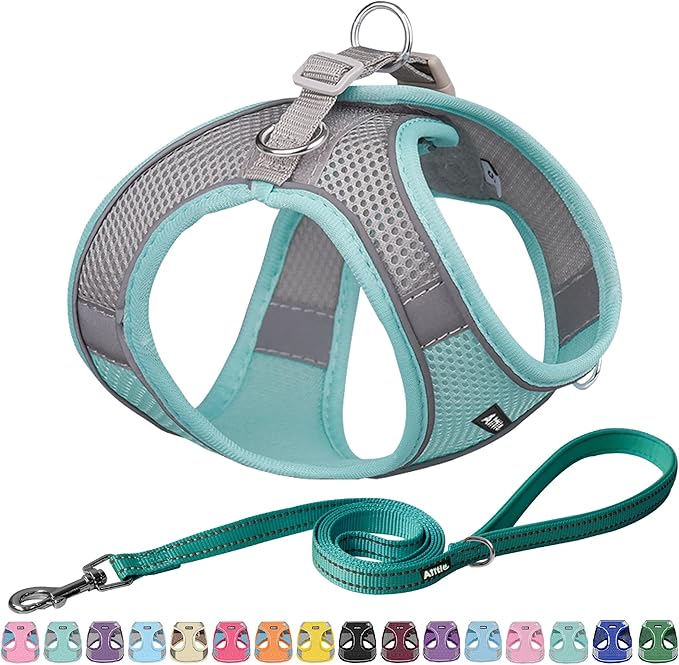 AIITLE Easy Walk Dog Harness and Leash Set - Pet Supply No Pull, Step in Adjustable Pet Harnesses with Padded Vest for Summer, No Choke Over, Easy to Put on Medium Dogs Turquoise L