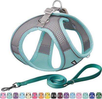 AIITLE Easy Walk Dog Harness and Leash Set - Pet Supply No Pull, Step in Adjustable Pet Harnesses with Padded Vest for Summer, No Choke Over, Easy to Put on Medium Dogs Turquoise L
