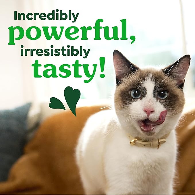 Greenies Feline Veterinarian-Recommended Adult Natural Dental Cat Treats, Oven Roasted Chicken Flavor, 21 oz. Tub
