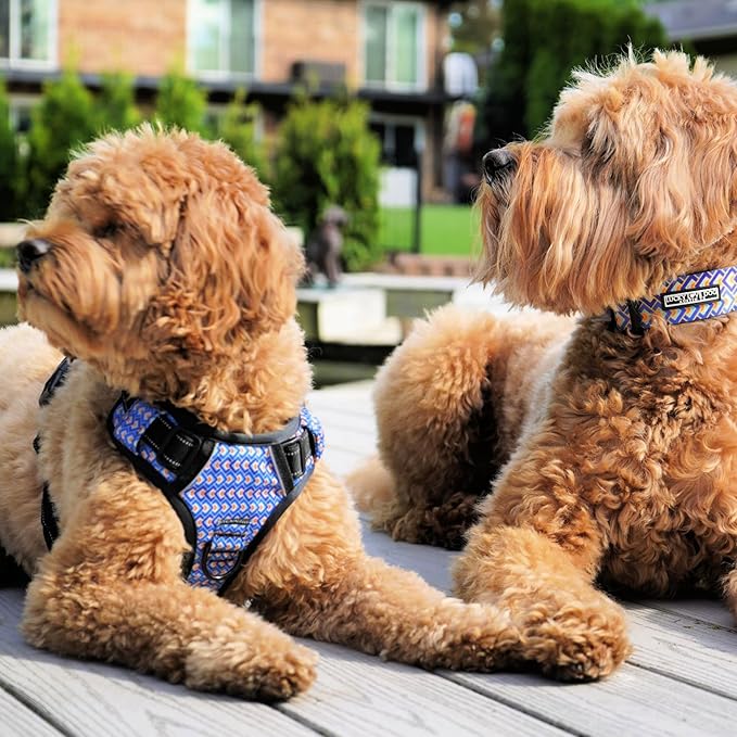 Lucky Love Dog No Pull Dog Harness, Adjustable and Easy to Walk, Cute Patterned Harness for Small Male & Female Dogs - Murphy, XS