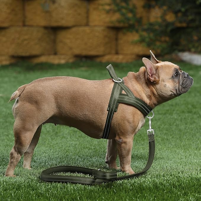 Plutus Pet No Pull Dog Harness with Breathable Mesh Padded, Adjustable Reflective Escape Proof Dog Harness, Quick Fit Dog Vest Harness for Small Medium Large Dogs(S, Ranger Green)