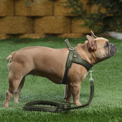 Plutus Pet No Pull Dog Harness with Breathable Mesh Padded, Adjustable Reflective Escape Proof Dog Harness, Quick Fit Dog Vest Harness for Small Medium Large Dogs(S, Ranger Green)