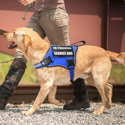 Service Dog Vest Harness and Leash Set+10 Patches,No Pull&Easy Walk Reflective Dog Harness with Soft Padded Handle for Training/Everyday,Fit Small/Medium/Large/Extra-Large Dogs (Blue S)