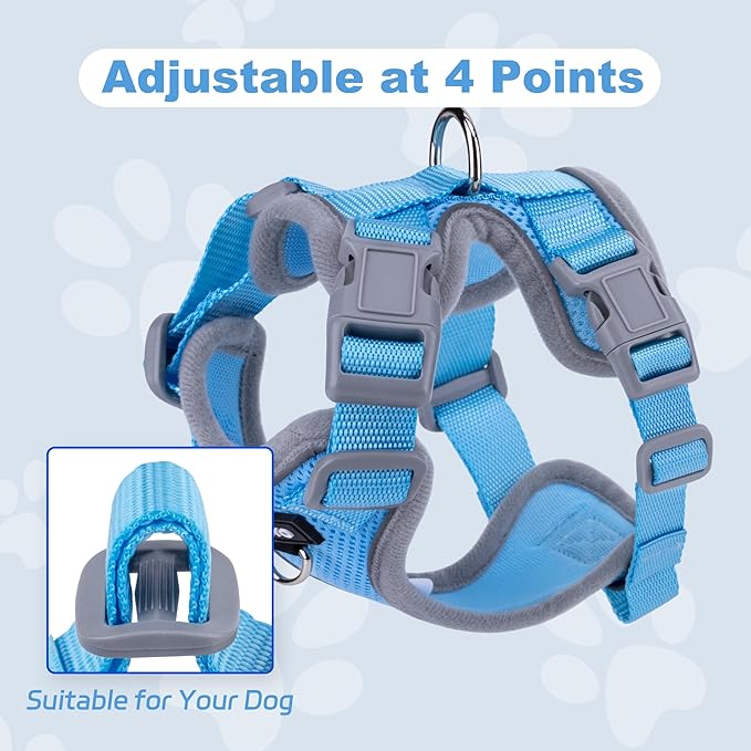 Small Dog Harness and Leash Set，No Pull Adjustable Pet Harness for Small Dogs ，Breathable Mesh Reflective Dog Vest Harness (Light Blue, S)