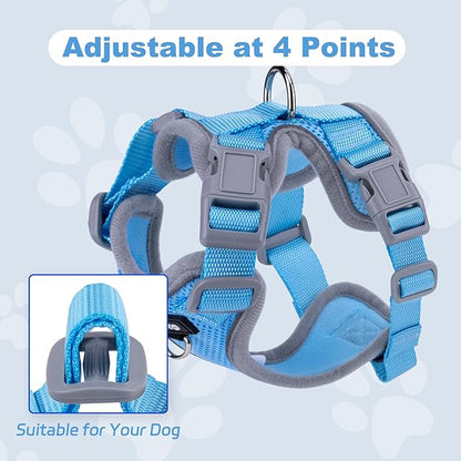 Small Dog Harness and Leash Set，No Pull Adjustable Pet Harness for Small Dogs ，Breathable Mesh Reflective Dog Vest Harness (Light Blue, S)