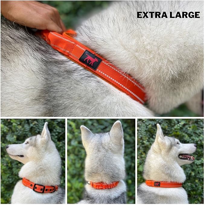Tuff Pupper Heavy Duty Dog Collar with Handle | Ballistic Nylon Heavy Duty Collar | Padded Reflective Dog Collar with Adjustable Stainless Steel Hardware | Convenient Sizing for All Breeds