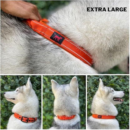 Tuff Pupper Heavy Duty Dog Collar with Handle | Ballistic Nylon Heavy Duty Collar | Padded Reflective Dog Collar with Adjustable Stainless Steel Hardware | Convenient Sizing for All Breeds
