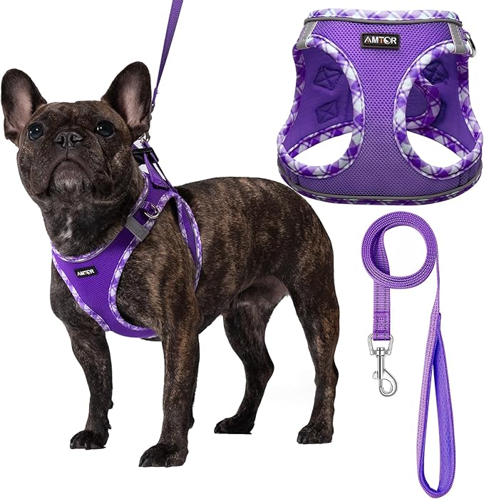 AMTOR Small Dog Harness with Leash Set, No Escape Easy Walk Puppy Harnesses for Training Walking, Step-in Reflective Soft Dogs Vest for XS S Medium Extra-Small Large Sized Dog(Purple,XXS)