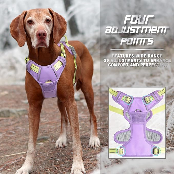 BARKBAY No Pull Dog Harness Front Clip Heavy Duty Reflective Easy Control Handle for Large Dog Walking(Violet Purple & Sunlight,XL)