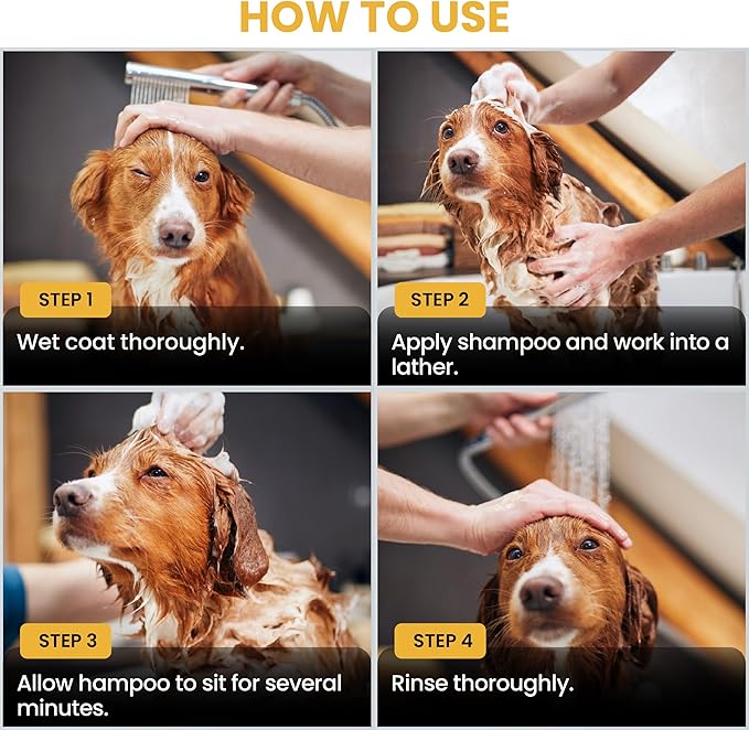 Puppy Shampoo & Conditioner | Made in USA | Tear Free | Best Shampoo for Puppies | Sensitive & Itchy Skin Wash | Oatmeal Bathing | Tearless, Mango, 8oz [We Love Doodles]