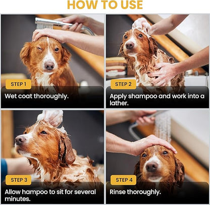 Puppy Shampoo & Conditioner | Made in USA | Tear Free | Best Shampoo for Puppies | Sensitive & Itchy Skin Wash | Oatmeal Bathing | Tearless, Mango, 8oz [We Love Doodles]