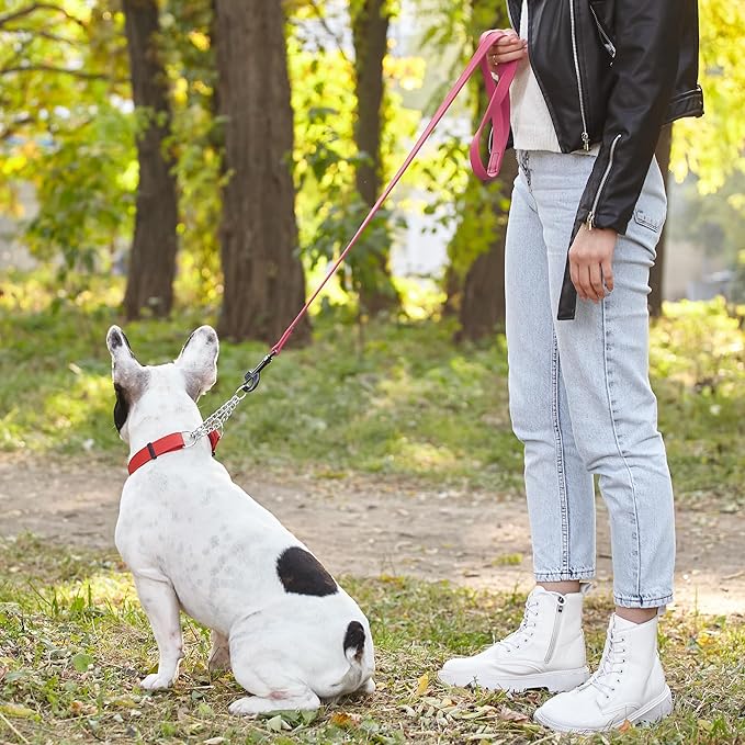 Dogline Biothane Waterproof Dog Leash Strong Coated Nylon Webbing with Black Hardware Odor-Proof Easy to Clean High Performance for Small or Large Dogs Made in USA 4 or 6 ft Lead, Passionfruit Pink