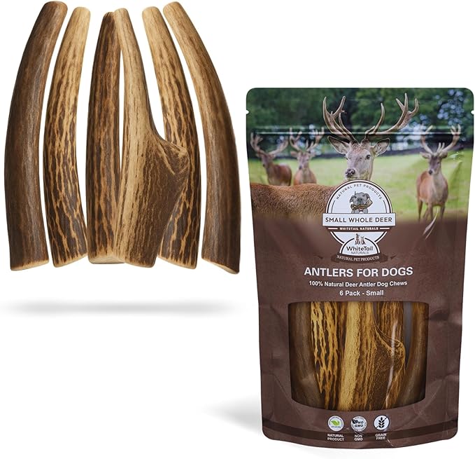 WhiteTail Naturals Antlers for Dogs (6 Pack) Deer Antler Dog Chew Bones for Small Aggressive Chewers - Long Lasting Whole Antlers - Hand Trimmed & Naturally Shed