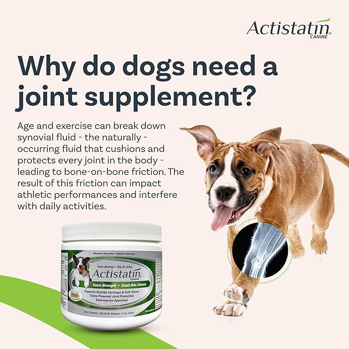 Actistatin Canine Small Dog Soft Chews, 120ct – Patented Extra-Strength Joint, Cartilage, Soft Tissue Supplement: Glucosamine, Chondroitin, Manganese, MSM, L-Carnitine – High Absorption, Fast Results